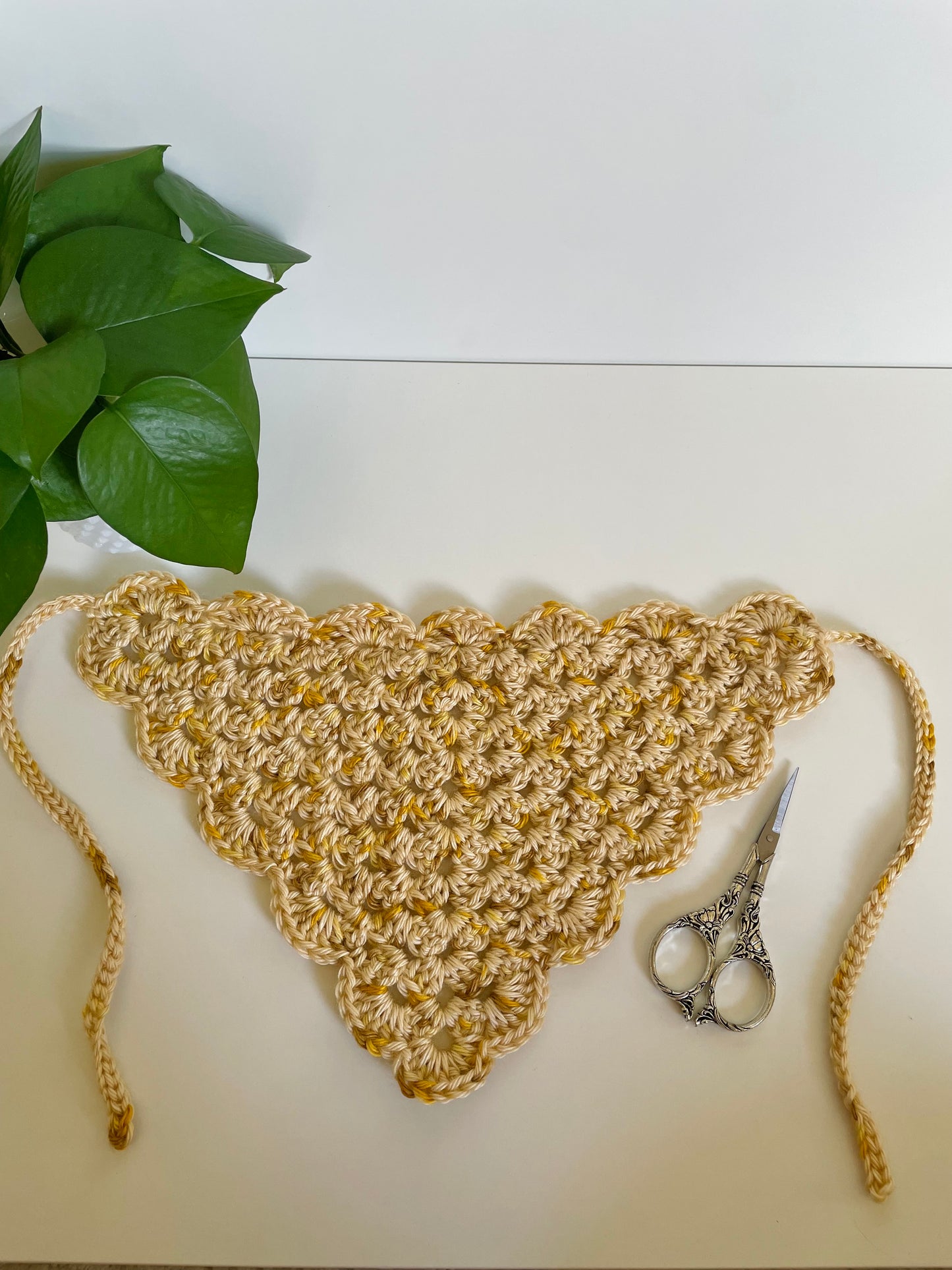 Custom: Frolic Crochet Hair Bandana