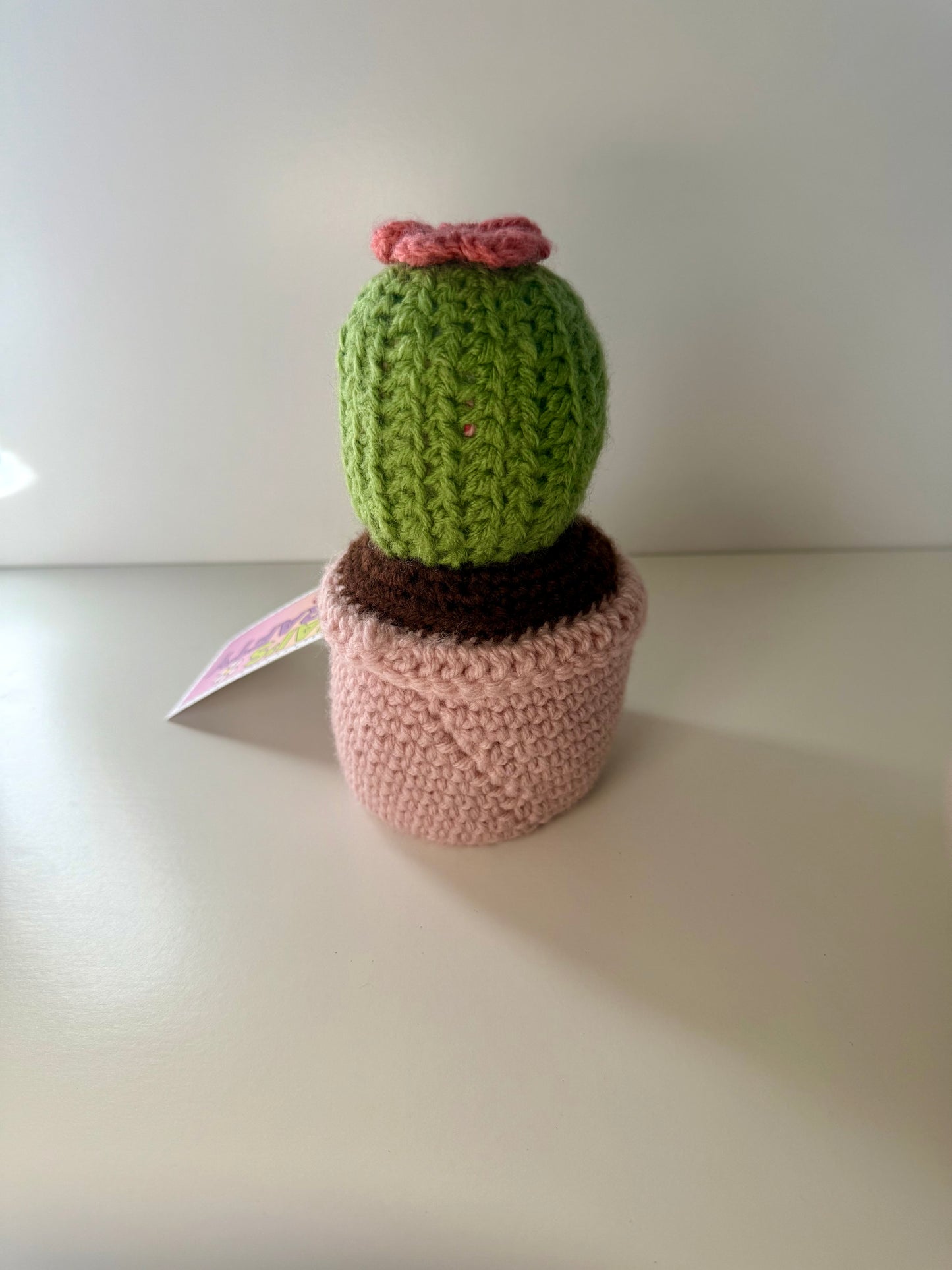 Pink Potted Crochet Cactus Plant