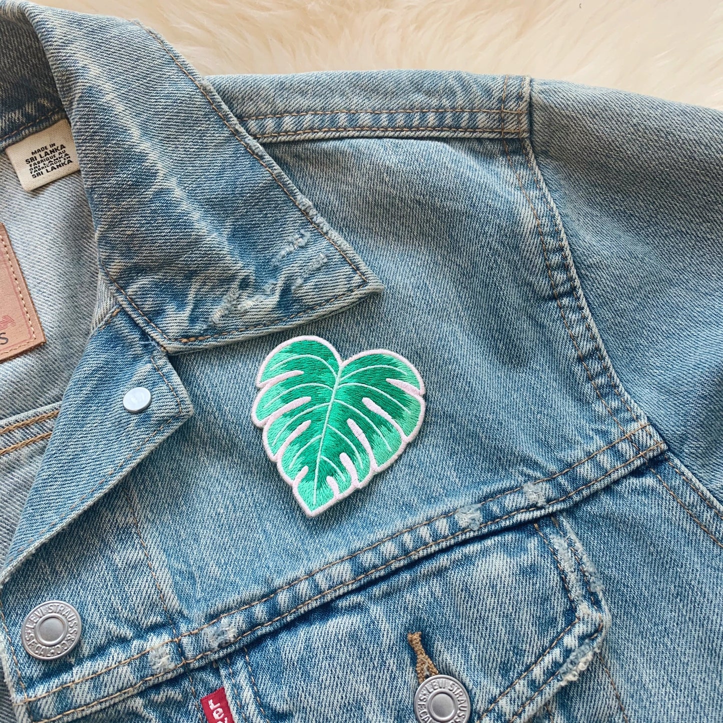 Monstera Leaf Patch