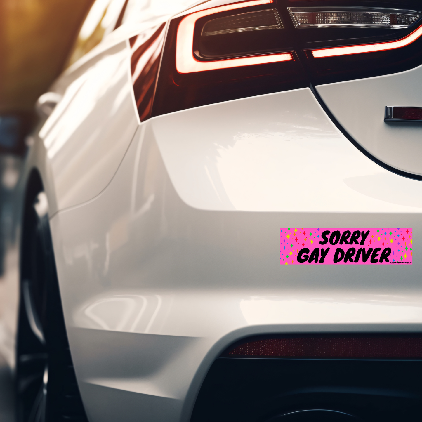 Sorry Gay Driver Bumper Sticker
