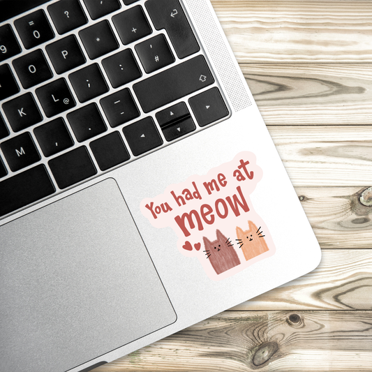 You Had Me at Meow Sticker | Cute Cat Pun Vinyl Decal | Cat Lover Gift |  Kitty Sticker | Animal Lover Aesthetic