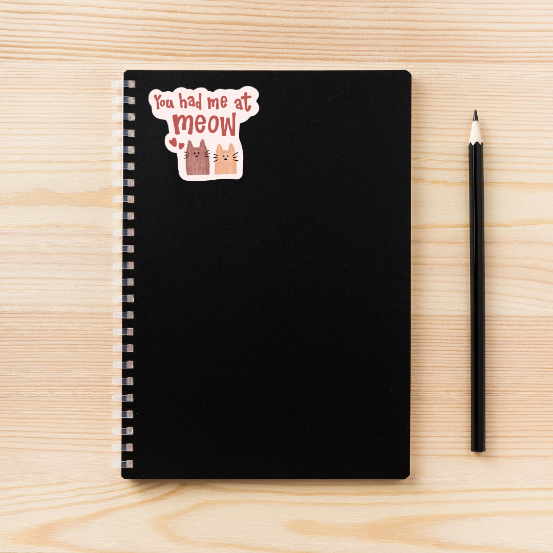 You Had Me at Meow Sticker | Cute Cat Pun Vinyl Decal | Cat Lover Gift |  Kitty Sticker | Animal Lover Aesthetic